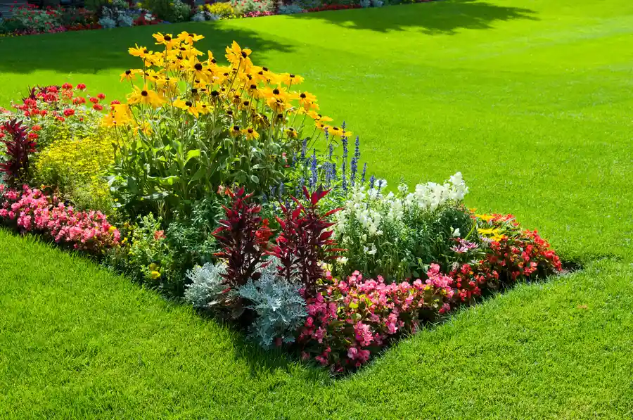 Creating Functional Outdoor Spaces With Landscape Design Services Lorain, OH