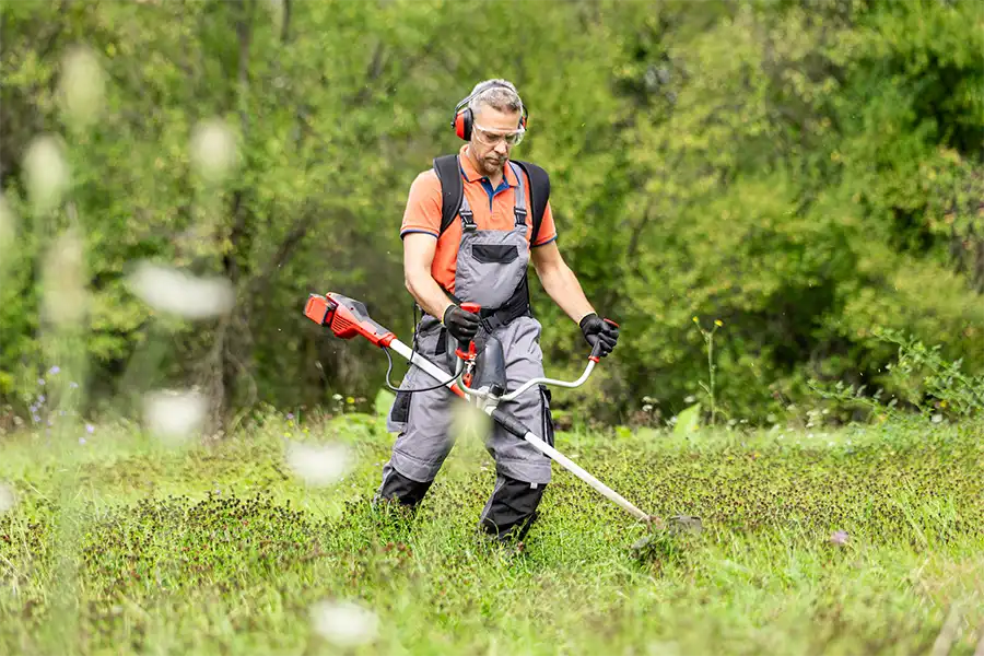 How Weed Whacking Improves Outdoor Safety Lorain, OH