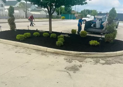 Skilled Landscape Contractor