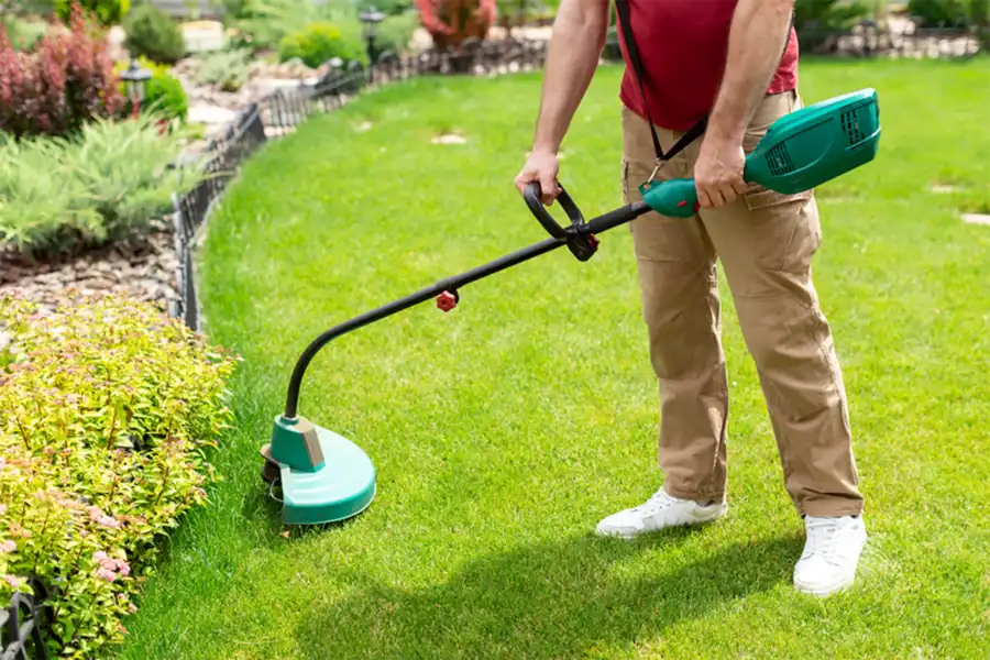 The Connection Between Weed Whacking and Pest Control Lorain, OH
