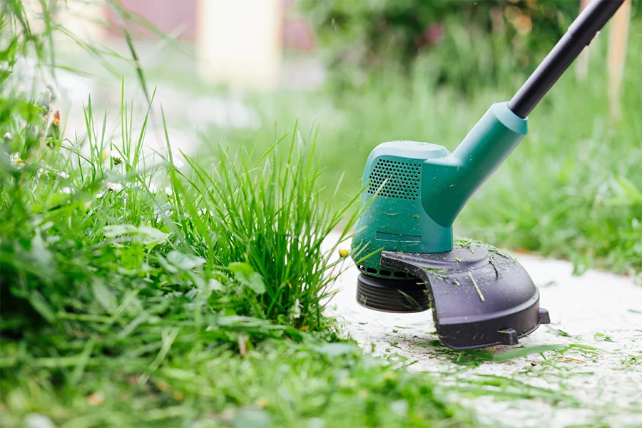 The Connection Between Weed Whacking and Pest Control in Lorain, OH