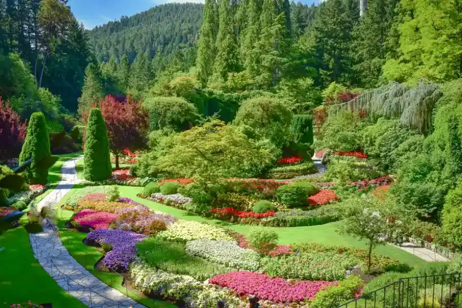Transform Your Yard With Expert Landscape Design Services Lorain, OH