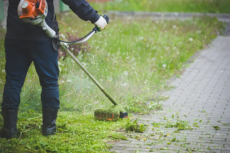 Weed Whacking